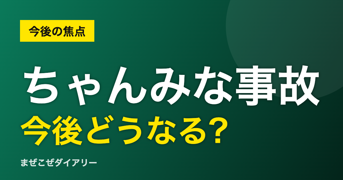 ちゃんみな事故 今後どうなる?